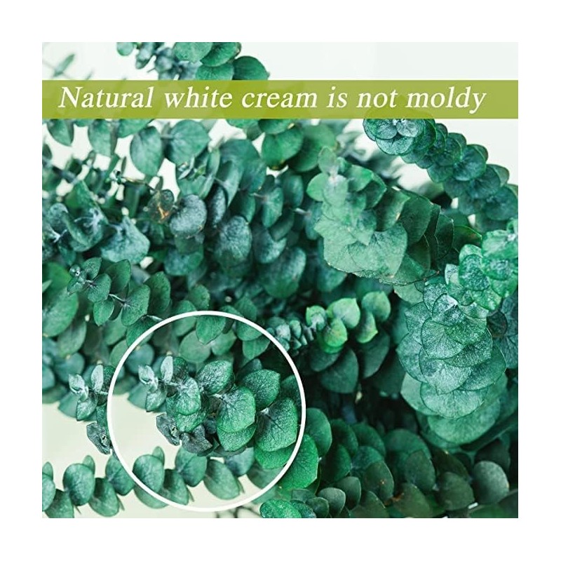 Sepper Eucalipto Real Preservado, 45cm 100% Natural Ramo de Eucalipto