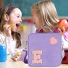 Insulated Nylon Lunch Box for Girls, Kids, and Women-Stylish Purple
