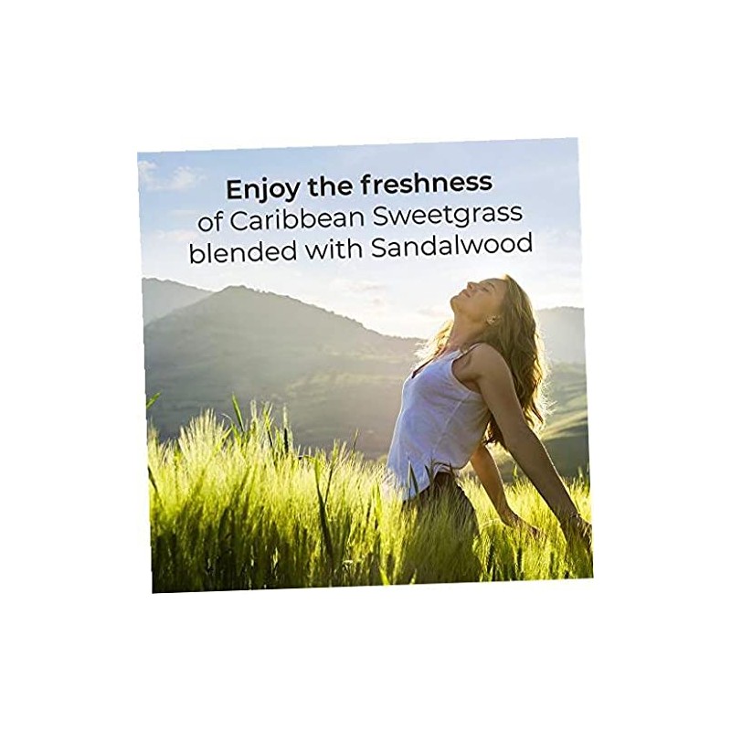 Air Wick Scented Oils 0+10 Sweetgrass & Sandalwood