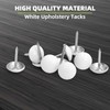 7/16 inch Diameter Upholstery Tacks, Nailhead Decorative Trim for Furniture,