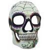 Day of the Dead Mask Dia de los Muertos Spider