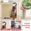 PETSITE 49 Inch Flower Cat Tree, Modern Multi-Level Cute Cat