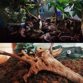 Tfwadmx Reptile Bark Bedding 31.6oz Tortoise Bedding for Habitat Bearded Dragon Substrate Reusable Pine Chips Substrate for Geckos, Lizards, Turtles Snakes, Hermit Crabs