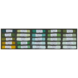Mount Vision Pastel Company 25-Piece Landscape Green Set