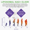 Nad+ Dietary Supplement Supports Anti-Ageing and Improves Immunity, 900 mg