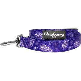Blueberry Pet Paisley Flower Print Dog Leash with Soft & Comfortable Handle, 5 ft x 3/4", Violet, Medium, Leashes for Dogs