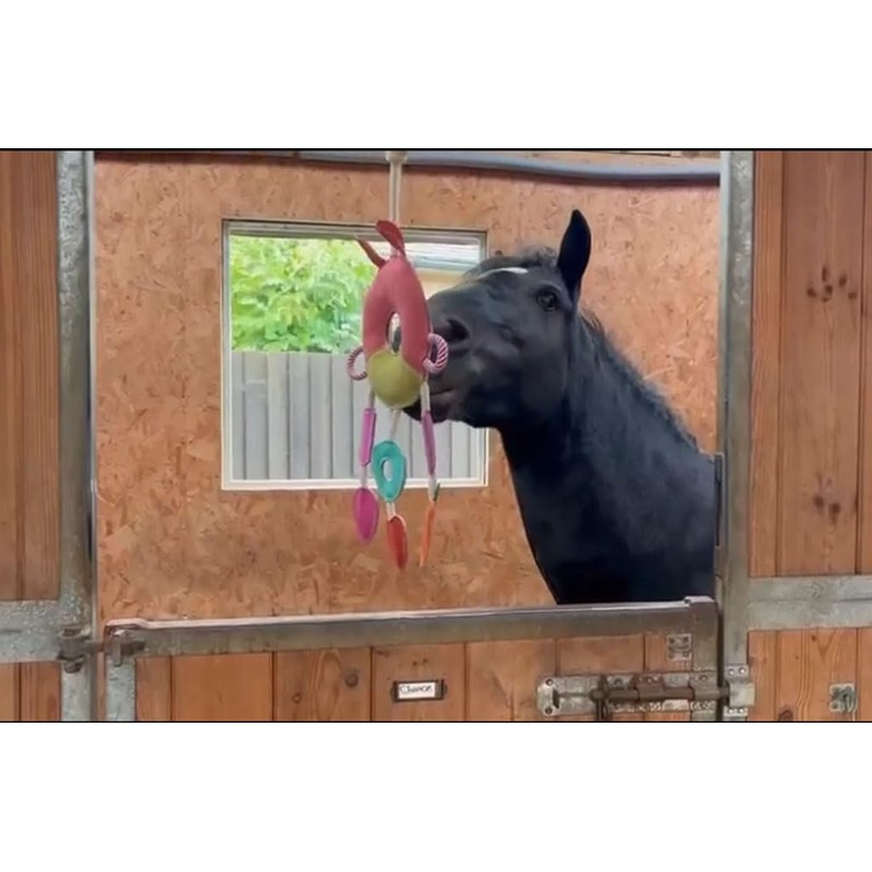 Ruggles Horse Stable Toy | Boredom buster for horse pony