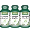 VORST Artemisinin 200mg Per Serving (100mg Per Capsule) 60 Vegan