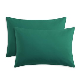 RUIKASI Pillow Cases 2 Pack - Green Standard 50x75 cm Pillowcases Set of 2 with Envelope Closure, Pair of Microfiber Plain Pillow Cover, Soft and Wrinkle-free