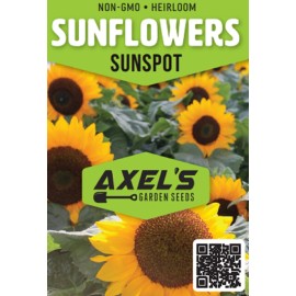 Axel's Garden Seeds Sunflower Seeds - Dwarf Yellow Sunspot, Heirloom, Free Shipping - 5 Seeds