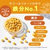 有機JAS サジー サプリ 250mg×120粒 3個セット サジー果実 約136個分を4錠に凝縮 タブレット サジー オーガニック