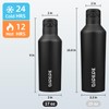 BJPKPK Insulated Water Bottle With Straw 17oz Stainless Steel Water