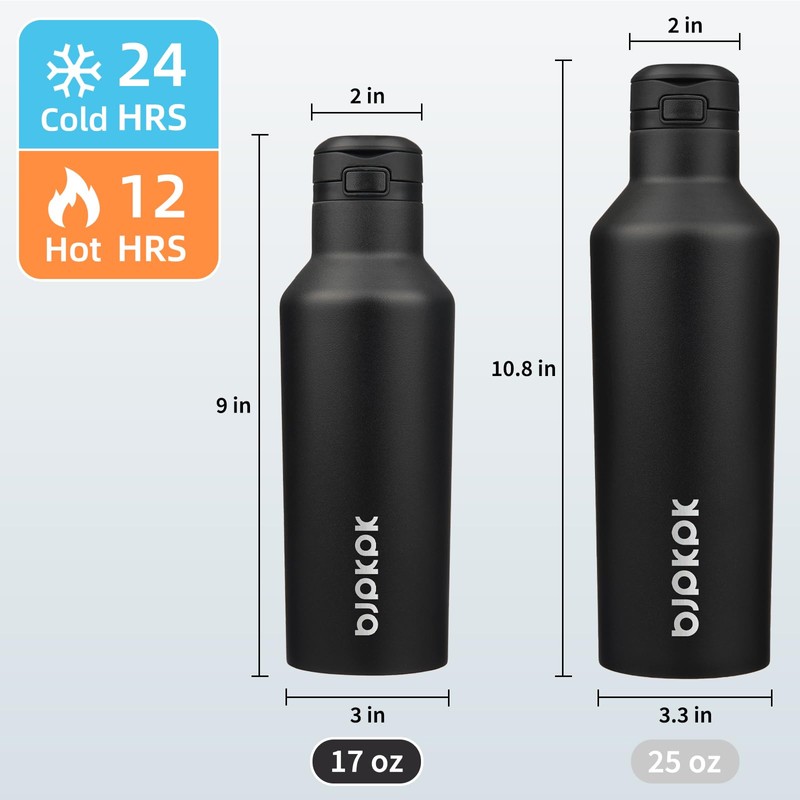 BJPKPK Insulated Water Bottle With Straw 17oz Stainless Steel Water