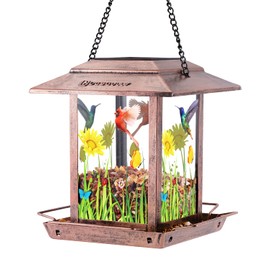 DesGully - Comedero de pájaros para colgar en exteriores, 2.5 libras para pájaros silvestres de metal para ideas de regalo para amantes de las aves, jardín, patio, semillas de pájaros (a prueba de