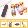 Mini Turtle Skateboard for Small Pets - Fun Tortoise Skateboard