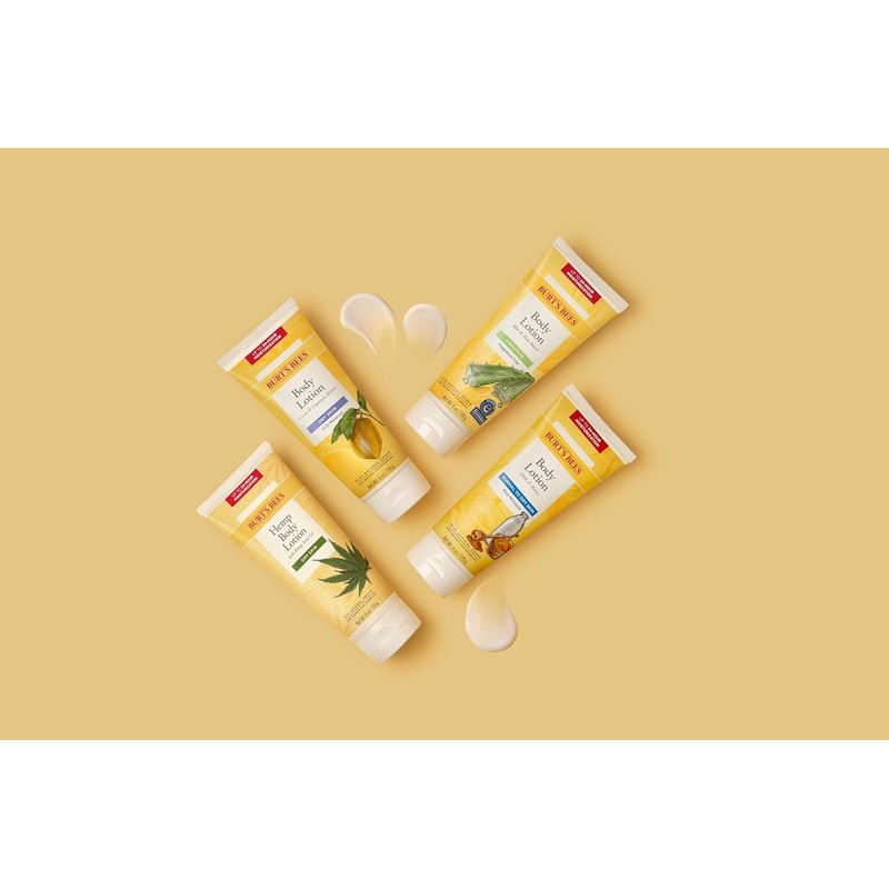 Burt's Bees Milk and Honey Body Lotion, 6 Ounces (Pack