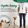 bluzelle Recall 5800 Professional Dog Whistle with Strap for Dog