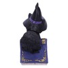 Nemesis Now Pocus Small Witches Familiar Black Cat and Spellbook