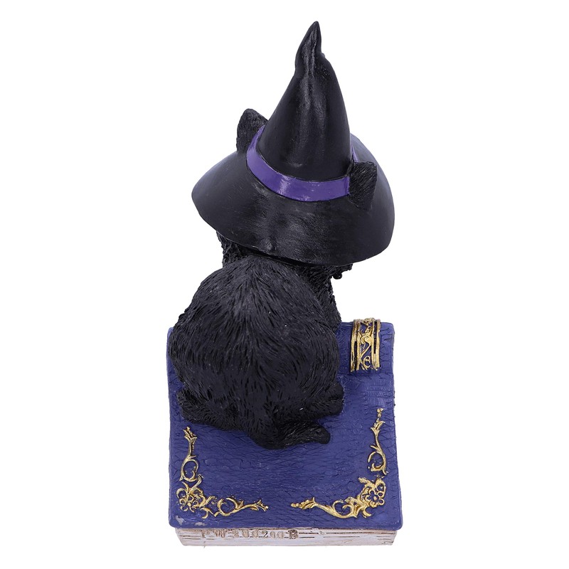 Nemesis Now Pocus Small Witches Familiar Black Cat and Spellbook