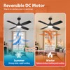 SILVER SWAN 42" Ceiling Fans with Lights, Low Profile Ceiling