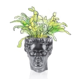 CONCRETTE Hermes Head Planter, Unique Novelty Flower Pot, Sculpture, Home or Garden Decor, Indoor/Outdoor (Steel)