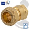 Tecuro Brass Compression Connector Female Screw with Brass Thread 18