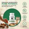 PeakCore Labs® Greens Blend | Premium BioVit® Formula | 100%