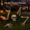 Halloween Skeleton Yard Decoration – 5-Piece Skull & Bone Ground