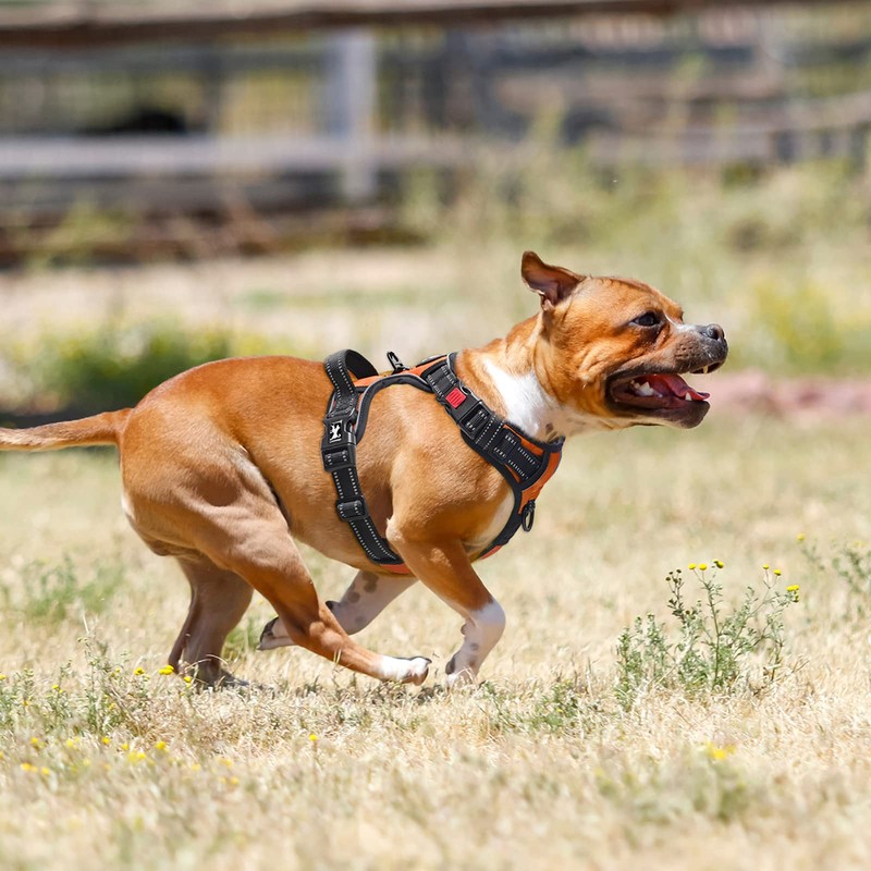 PoyPet No Pull Dog Harness with Neck Release Buckle, Reflective