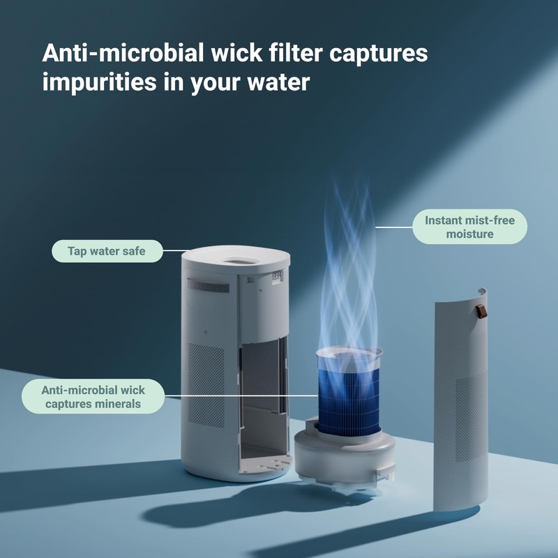 BLUEAIR Genuine Wick Filter, Replacement for DH3i 2-in-1 Purify +