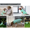 Wabdhaly Wabdhaly Recovery Suit for Dogs,Dog Cone Alternative Zipper Surgery