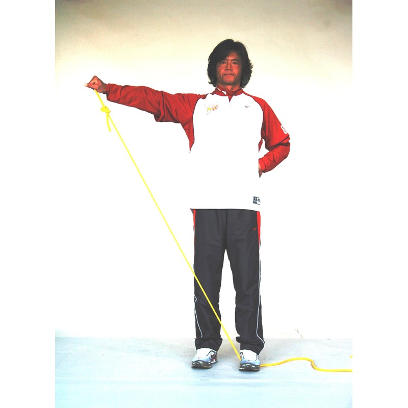 サクライ(SAKURAI) プロマーク トレーニングチューブ レベル5 立花龍司監修 TPT0060