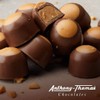 Anthony Thomas, Melt-A-Way Mints, Creamy Milk Chocolate, Melt-away Mints, Creamy,