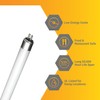 Diodesy- T5 LED Bulbs 2 Foot Ballast Bypass Tube Light