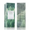SKIN1004 Tea Trica Purey Fine Toner 210ml / Tea-Trica Purifying