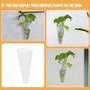Toddmomy 2pcs Wall Mounted Plant Terrariums Cone Shaped Hanging Planter