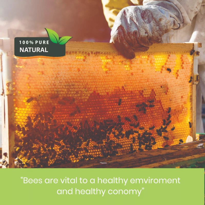 White Beeswax Pastilles Beads 100% Pure & Natural Made in