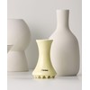 Plona Ceramic Face Guasha