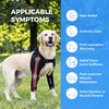 KISFLY Dog Elbow Brace for Arthritis with Gel Pack, Medium