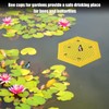 NQEUEPN Floating Bee Island, Bee Cup Honey Drinker Outdoor Stable