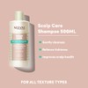 MIZANI Scalp Care Pyrithione Zinc Antidandruff Shampoo, 16.9 fl. oz.