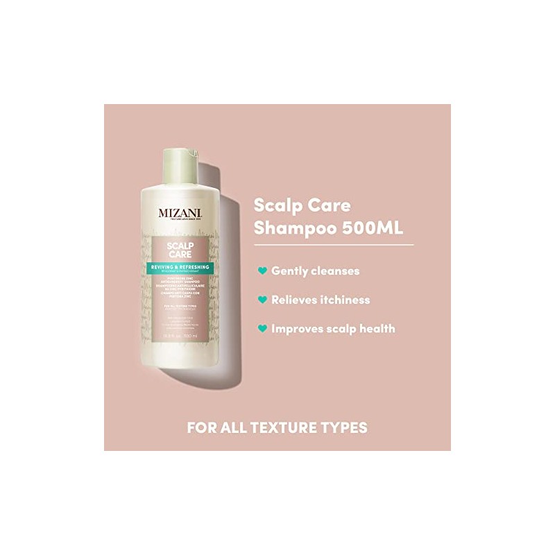 MIZANI Scalp Care Pyrithione Zinc Antidandruff Shampoo, 16.9 fl. oz.
