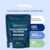Wellthy Bisglicinato Magnesio 120 Cápsulas 432mg Elemental 100 Natural Alta