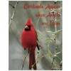 Cardinal Appear When Angels are Near Cardinal Refrigerator Magnet