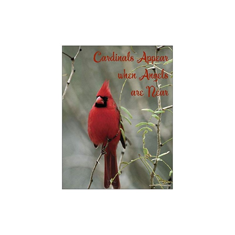 Cardinal Appear When Angels are Near Cardinal Refrigerator Magnet