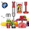 Ganiza Immersion Blender Handheld, 6 in 1 Hand Blender Stainless