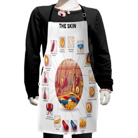 Ambesonne Science Apron, Skin Anatomy Elements in Round Shaped Diagram Pores Hair Roots Veins Sensory, Small Apron Bib with Adjustable Ties for Baking Painting, Small Size, Multicolor