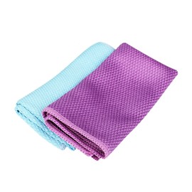Healvian 2pcs Double-sided Glass Wipe Towel for Aquarium Cleaning Microfiber Cloth for Glass and Window Cleaning Random