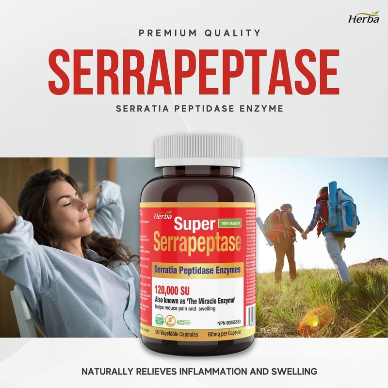 Herba Serrapeptase 120,000 SU - 90 Vegetable Capsules | High