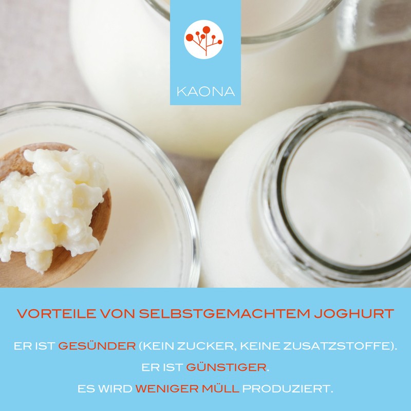 kaona Joghurtkultur - Ferment fr die Herstellung von probiotischem Joghurt